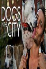 Watch Projectfreetv Dogs in the City Online