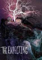 the expecting tv poster