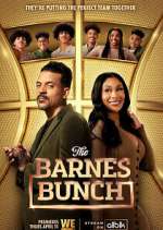 the barnes bunch tv poster
