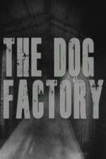 Watch The Dog Factory Projectfreetv