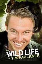 Watch The Wild Life of Tim Faulkner Projectfreetv