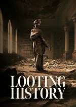 looting history tv poster