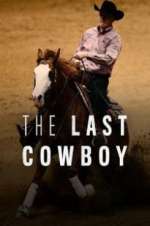 the last cowboy tv poster
