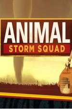 Watch Animal Storm Squad Projectfreetv