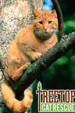 Watch Treetop Cat Rescue Projectfreetv