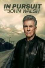 in pursuit with john walsh tv poster
