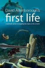 Watch David Attenborough's First Life Projectfreetv