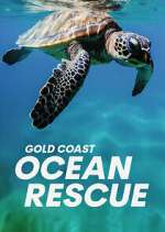 gold coast ocean rescue tv poster
