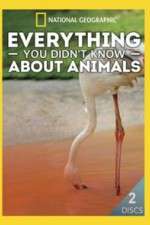 everything you didnt know about animals tv poster