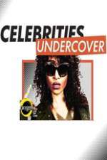celebrities undercover tv poster