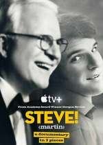 steve! (martin) a documentary in 2 pieces tv poster