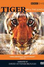 Watch Tiger: Spy in the Jungle Projectfreetv
