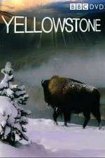 yellowstone tv poster