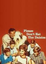 please don't eat the daisies tv poster
